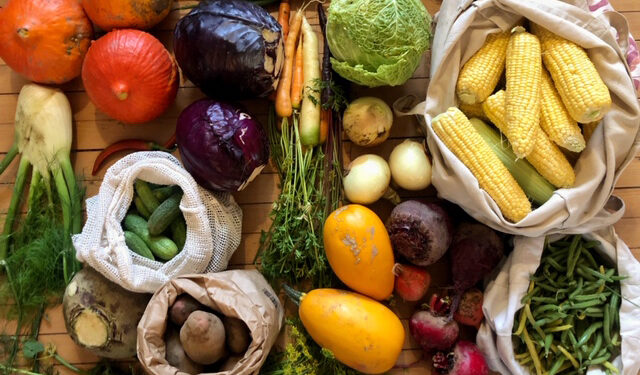 Fermentering af grøntsager